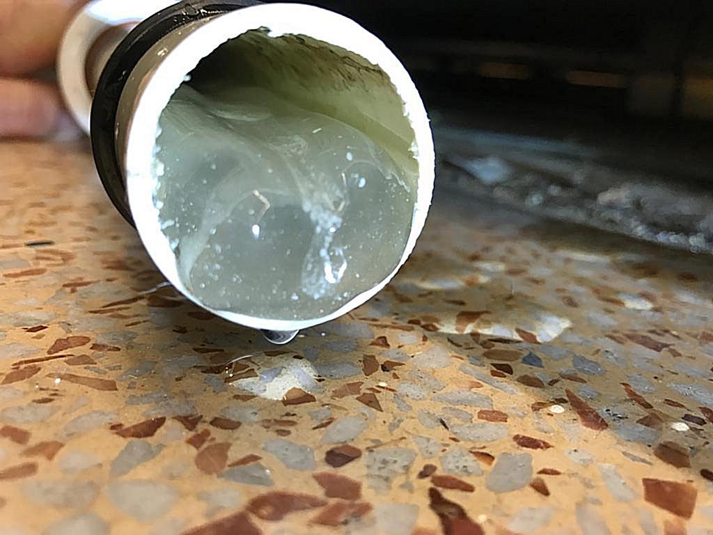 Cooling Business Of The Year Gelclear Ltd